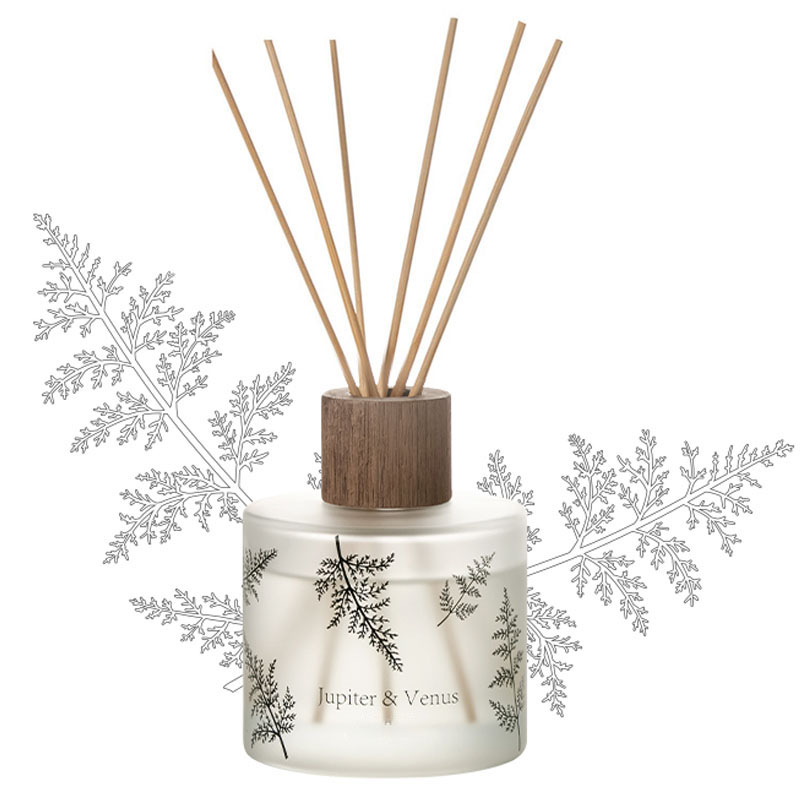 M&Scent Wholesale Luxury Custom Decorative Amber Glass Walang Sunog Natatanging Transparent Floral Aroma Reed Diffuser
