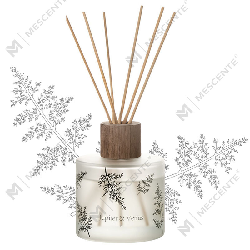 M&Scent Wholesale Luxury Custom Decorative Amber Glass Walang Sunog Natatanging Transparent Floral Aroma Reed Diffuser