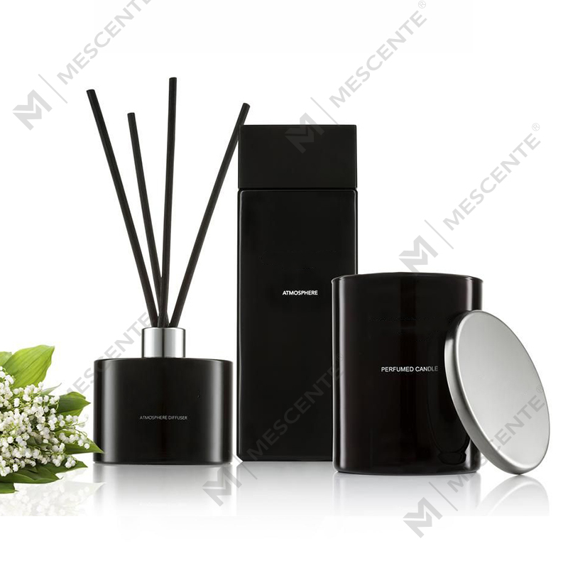 Pribadong Label White Frosted Bottle Aromatherapy Reed Diffuser Oils With Box A29148